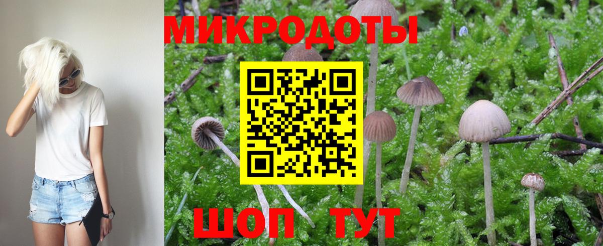 Галлюциногенные грибы MAGIC MUSHROOMS  Вход с VPN  Бугуруслан 